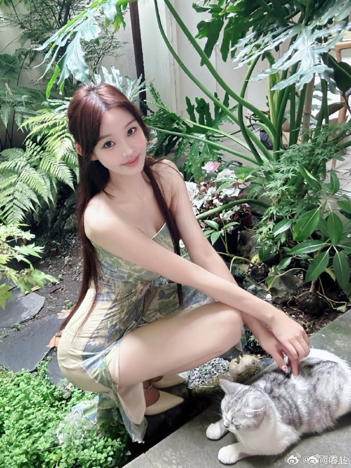 女朋友的男朋友2免费观看电视剧lD中