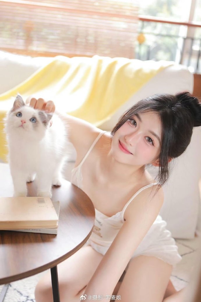 姨妈动漫16全集动画片