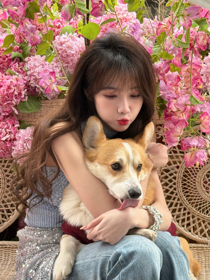 电影《完美搭档2》在线播放